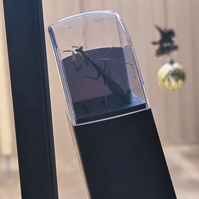 BugClip - The Smart Way to Deal with Bugs