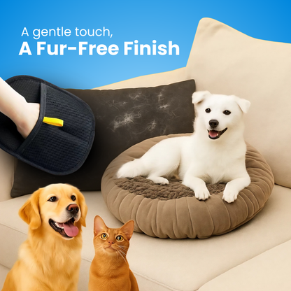 PawLush™ – Remove Pet Hair in Seconds Without Sticky Rollers or Mess