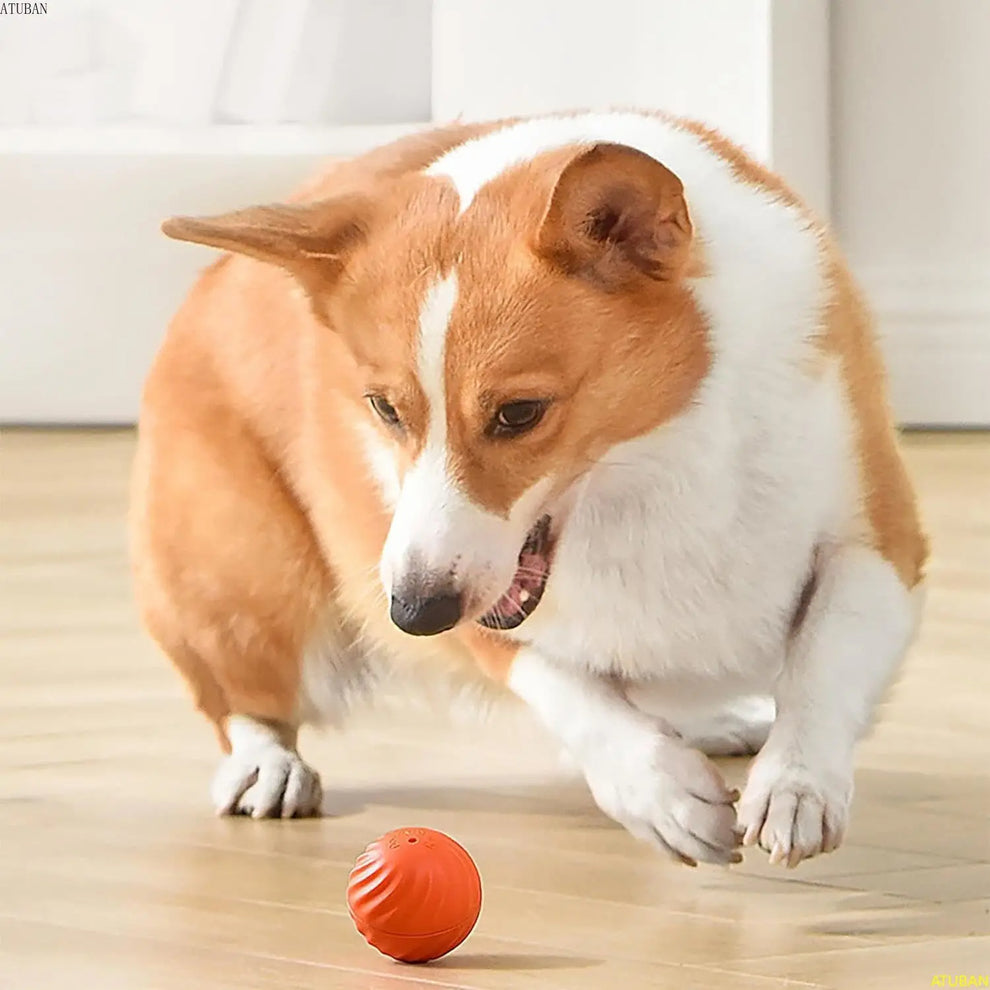 Smart PawPlay Ball - Interactive Jumping Ball for Pets