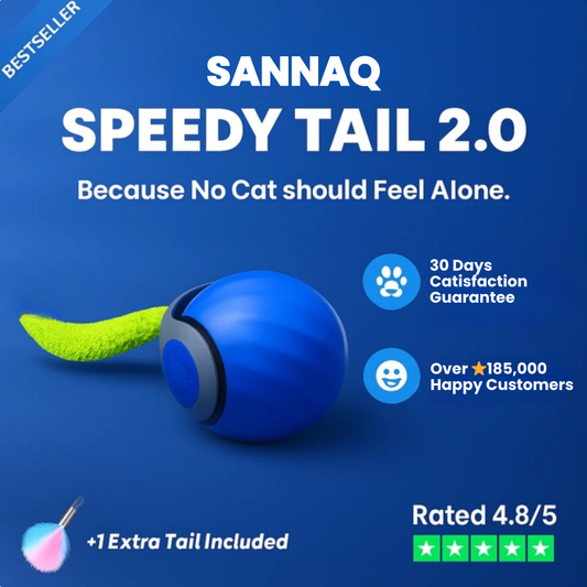 Speedy Tail 2.0